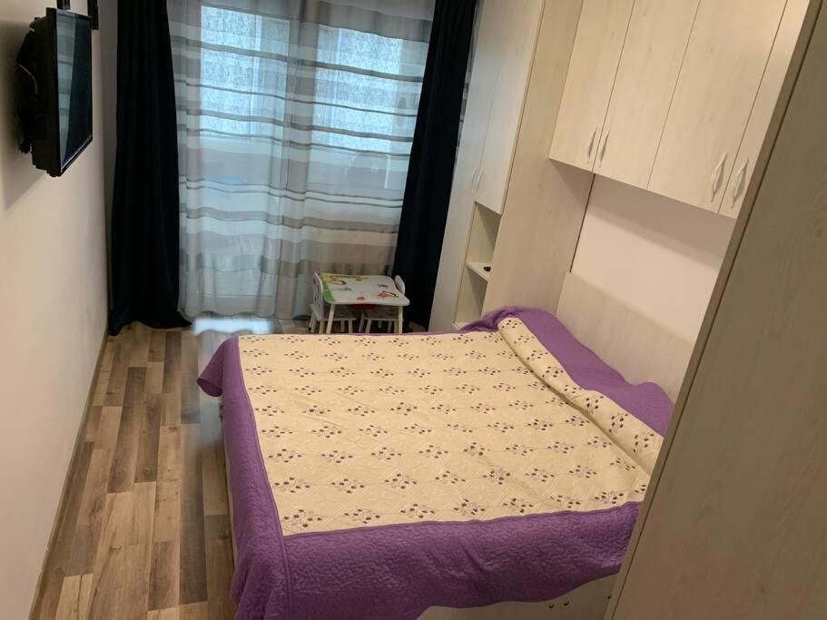 Lovely Bacau 1 Bedroom Apartment Eksteriør billede